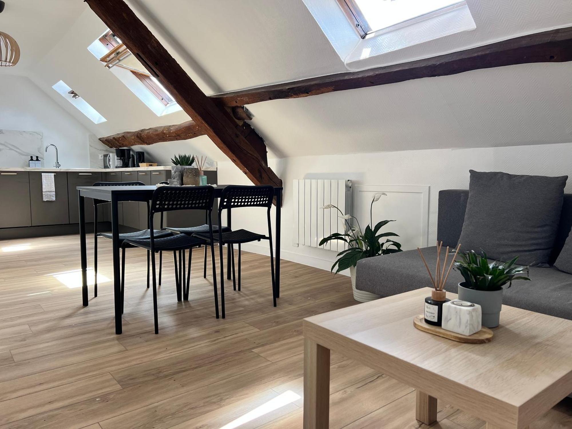 Apartament Appart Asterix Cdg Parc Expo Paris Chantilly Plailly Zewnętrze zdjęcie