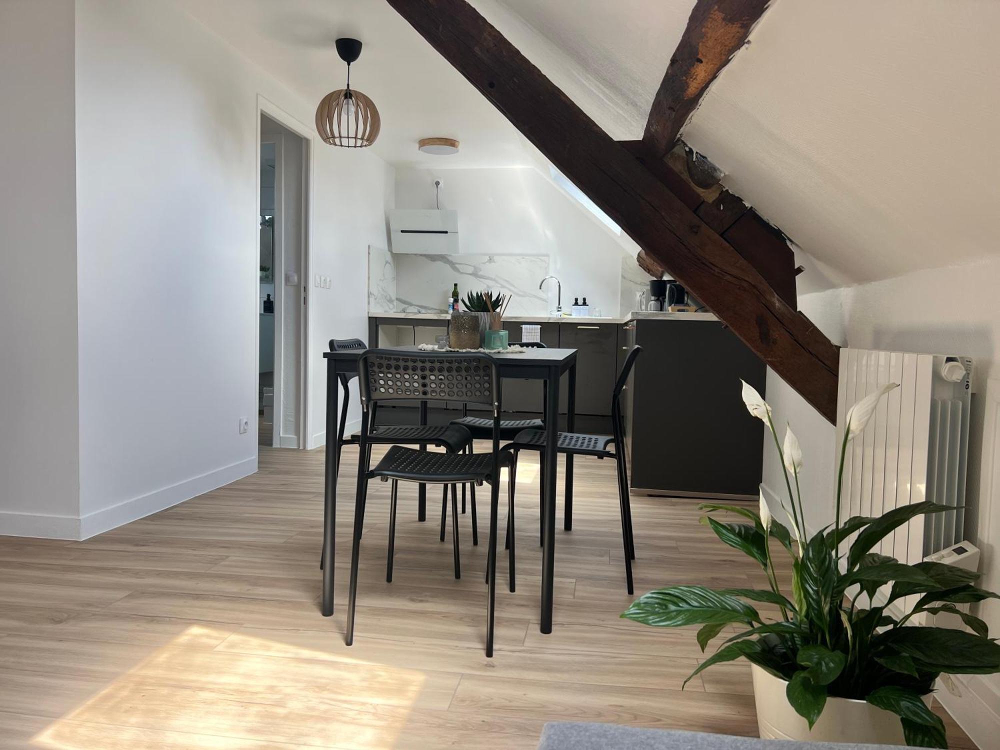 Apartament Appart Asterix Cdg Parc Expo Paris Chantilly Plailly Zewnętrze zdjęcie